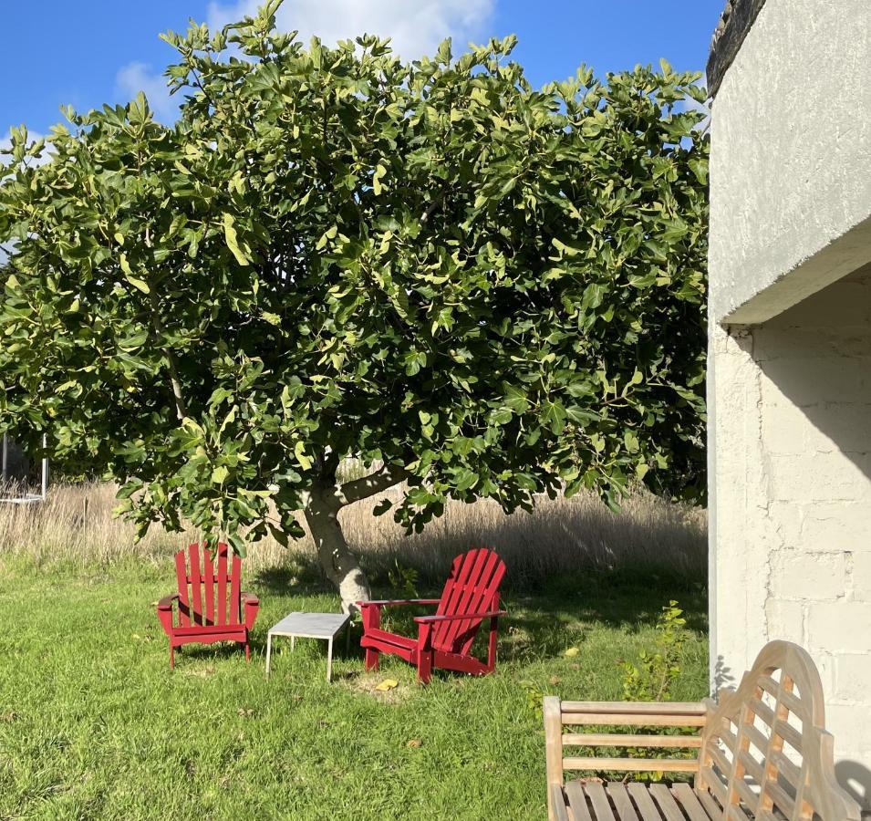 La Part Des Anges 29 - Maison D'Hotes Et Table Epicurienne Penmarch Exterior photo